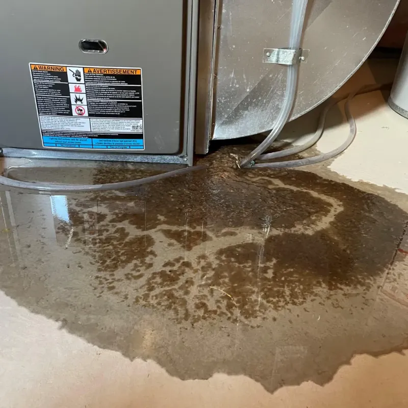 Appliance Leak Cleanup in Mathis, TX