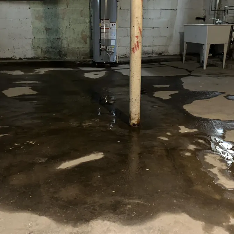 Emergency Water Extraction And Removal in Mathis, TX